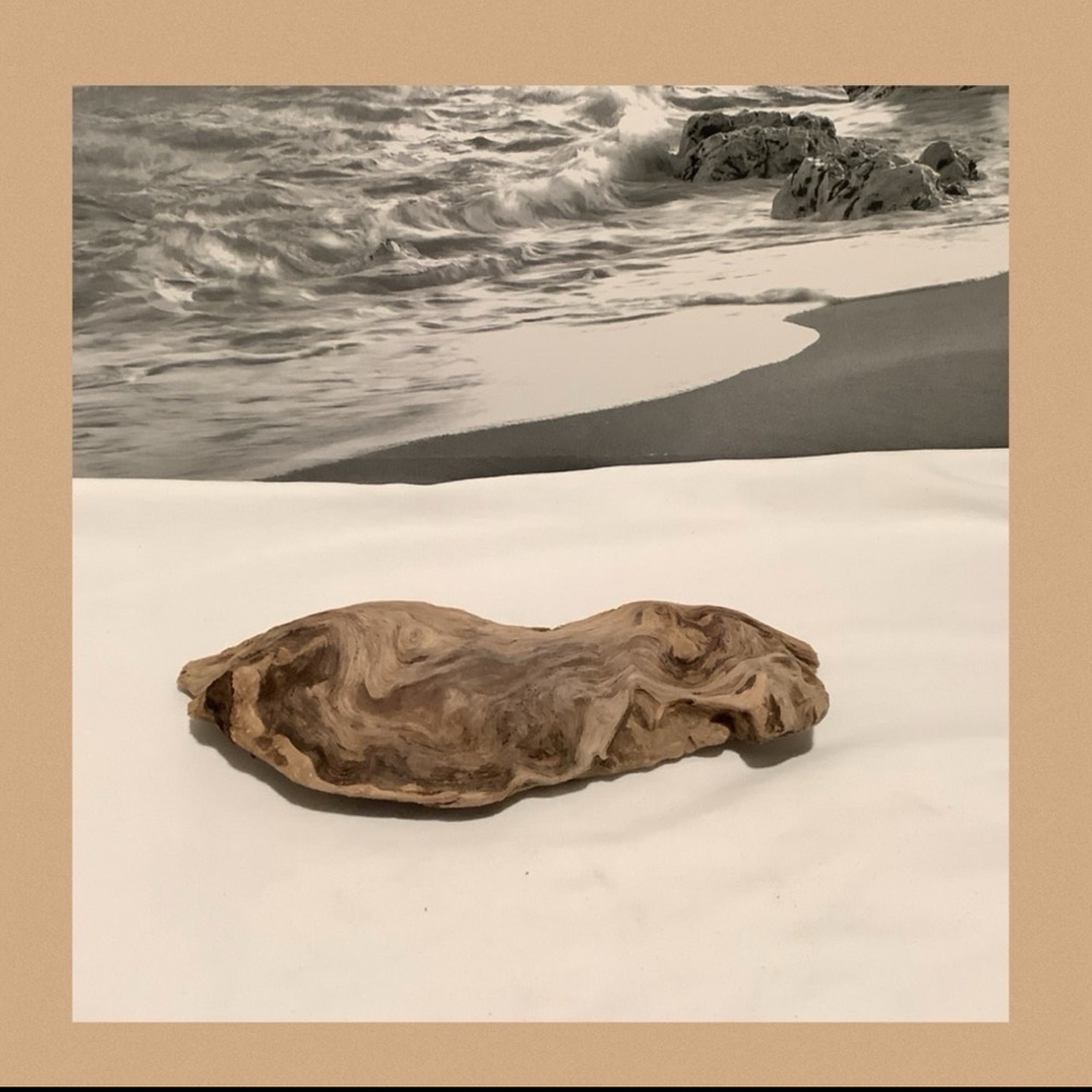 Driftwood , Driftwood Piece For Crafting ,Reptile Habitats